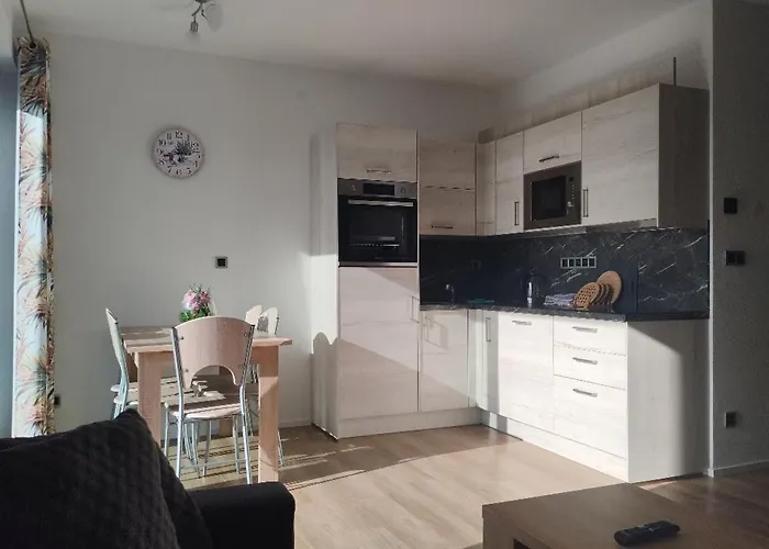 Dasa Lejlighed Frymburk
